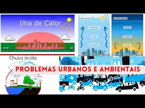 Descubra as CAUSAS E CONSEQUÊNCIAS dos Problemas urbanos e ambientais- Gegorafia / ENEM