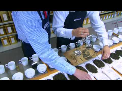 download lagu mp3 mp4 Tea Tasting Experience, download lagu Tea Tasting Experience gratis, unduh video klip Tea Tasting Experience