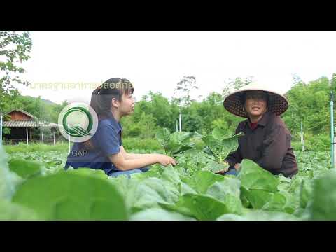 Teen Tok Royal Project Development Center