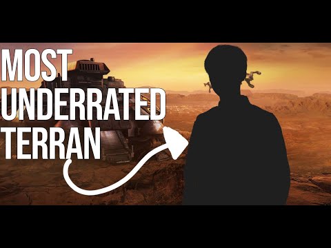 The Most UNDERRATED TERRAN PLAYER | Neeb (P) vs .... (T)