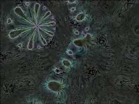 The Universe In 2D