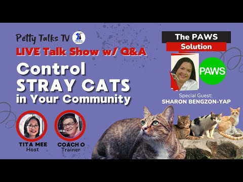 How to Control Stray Cats