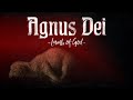 Agnus Dei (Lamb of God) - Christian Music with Lyrics