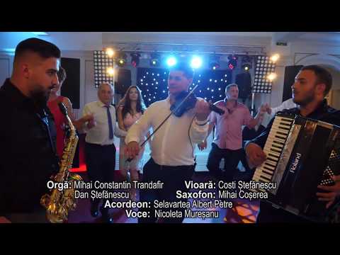 Nou 2020 - Sarba Adevarata 30 min cu Nicoleta Muresanu - Cea mai Tare Sarba Olteneasca