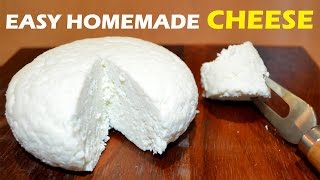 How to Make Cheese at Home - 2 ingredient Easy Cheese Recipe