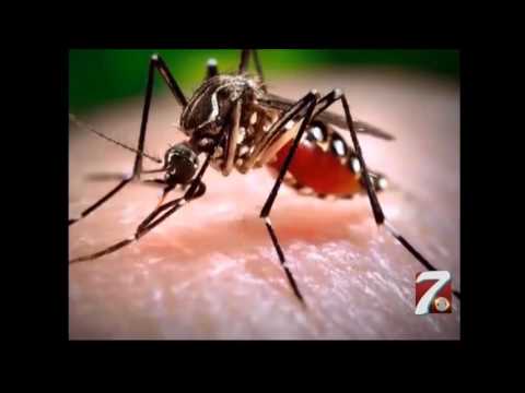 Zika Virus - Dr. Sudip Bose - Keep Your Inner Army Strong!