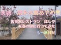 channel