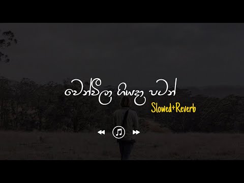 Wen Weela Giyada Patan - වෙන්වීලා ගියදා පටන් (Slowed+Reverb)