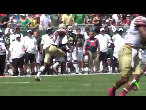 Auden Tate, FSU sideline catch versus USF