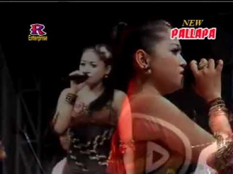 download lagu mp3 mp4 Dingin Lilin Herlina Pallapa, download lagu Dingin Lilin Herlina Pallapa gratis, unduh video klip Dingin Lilin Herlina Pallapa