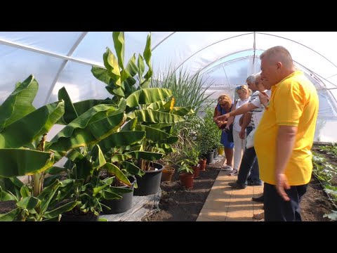 Підприємство "5 Element" відвідали журналісти регіональних ЗМІ