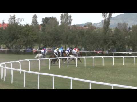 MI, 26. 7. 2015, 1. dostih - CENA MĚSTA MIMONĚ