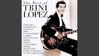 Shame and Scandal in the Family (Rerecorded)