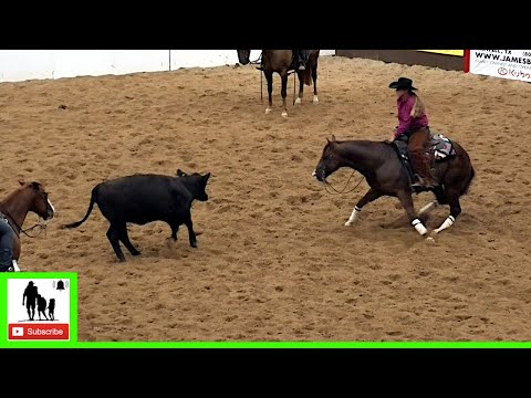 Cutting Horses Class 5-6 Limit Final - 2020 Metallic Cat West Texas Futurity