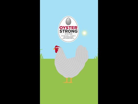 Safe eggs start with strong shells #Shorts