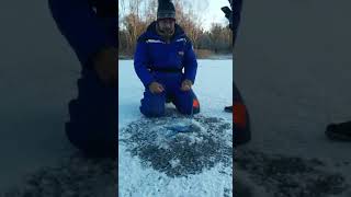 preview picture of video 'Щука на жерлицу в Латвии зимой.'