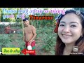Paano Mag Spray Sa Talong Gamit Ang Terapest