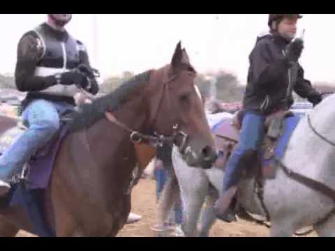 2010 Breeders' Cup Classic Contenders