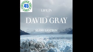 DAVID GRAY - DISAPPEARING WORLD - Life In Slow Motion (2005) HiDef :: SOTW #60