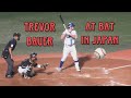 Trevor Bauer at bat in Japan ⚾️