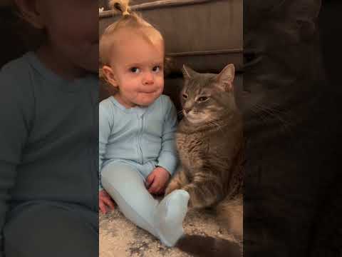 ¡Bebé discute reglas con la gata! 🐱 #humor #bebe #familia