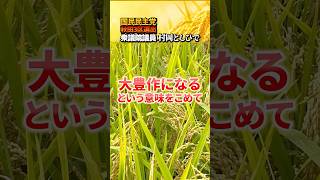 黄色に込められた熱い思いとは？　国民民主党村岡としひで衆議院議員　#農家　 #国民民主党