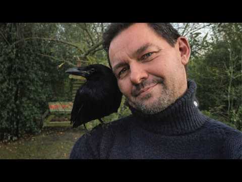 Ich rettete eine Krähe und sie zeigte mir etwas Unerwartetes