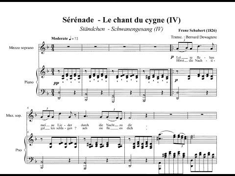 Serenade - F. Schubert (d minor) Karaoke "Ständchen"