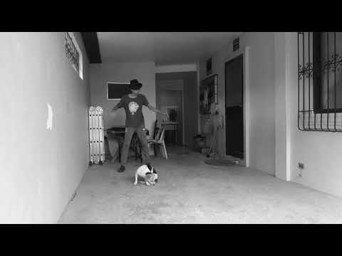 Parov Stelar All night - electro swing dance - #neoswing