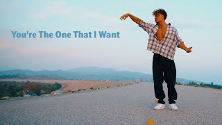 Download lagu You’re the One That I Want - Vik White Freestyle mp3