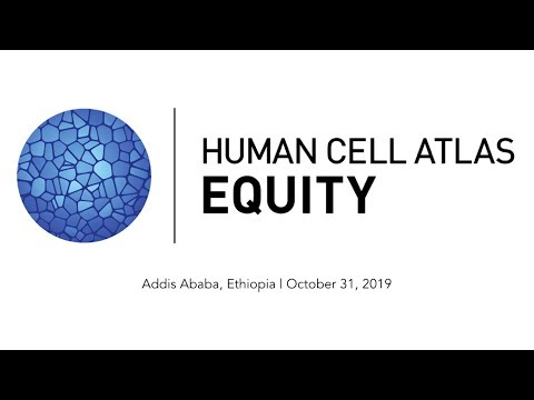 HCA Equity Meeting: A Working Introduction Discussion