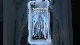 富山湾太刀魚釣行、パクパクです！