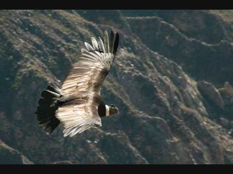 Spirit Of The Flying Eagle - Amerñan