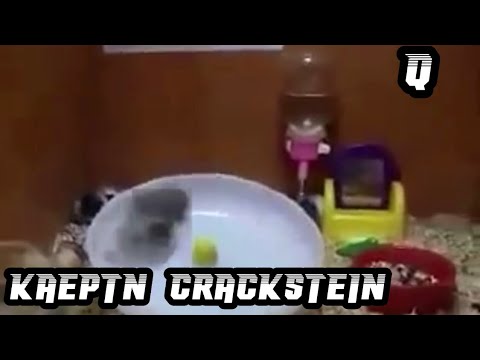 [Qualifikation 3/?] Käptn Crackstein (Prod. by Käptn Crackstein)