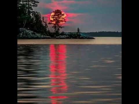 Elegí  Creer - Rodolfo Vásquez