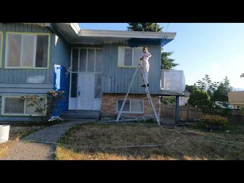 Frog clan painting group video.