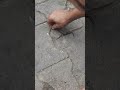 Doodh Ka Karz Part 3
