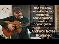 Notes Sound Balance Wolf Notes Explained Guitar Comparison