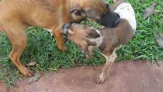 doação qualquer valor  pix 44991487896