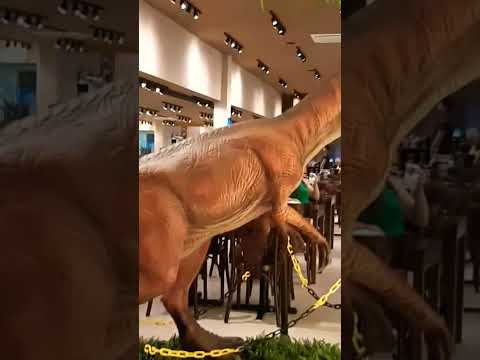 vlog de viagem, Caldas Novas