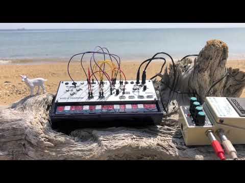 KORG volca modular at the seashore -binaural recording-