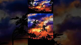 Johnny Cash  - No Earthly Good