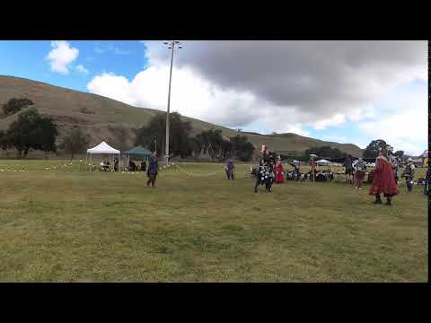 Sir Heinrich V Hindrick