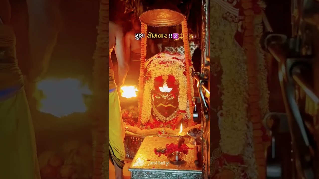 आचार्य तिवारी गुरु का अनमोल संदेश 🙏 | जीवन बदल देने वाली बातें | #shorts #viral #motivation