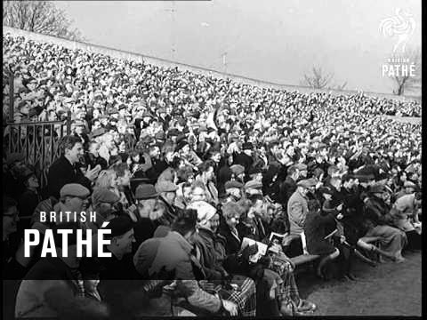 Wales Beat Ireland (1964)