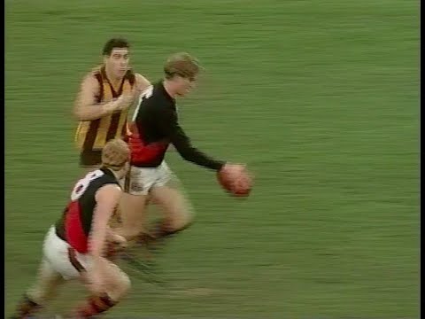 Essendon Highlights - Rd 11 1993 v Hawthorn