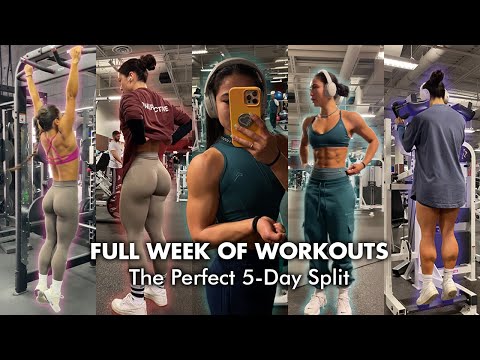 THE WORKOUT SPLIT THAT TRANSFORMED MY PHYSIQUE (my current split)