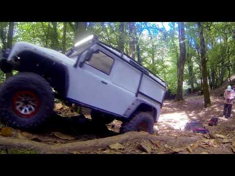 Mendip Scale And Trail Fun Day: Woods Course