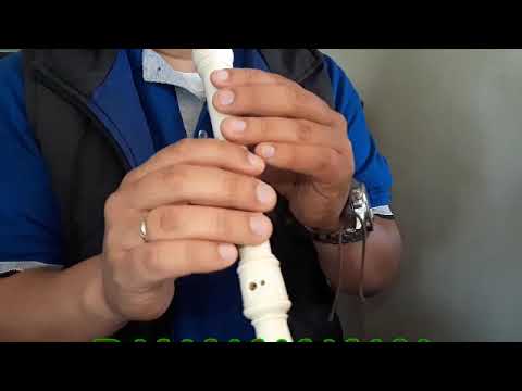 Prince Royce - Darte un Beso (FLAUTA COVER CON NOTAS)