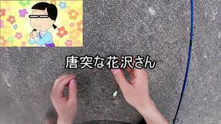 【北海道海釣り】石狩湾新港でブラーを使って釣り！！